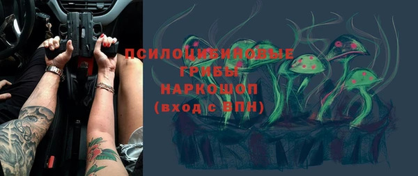 PSILOCYBIN Армянск