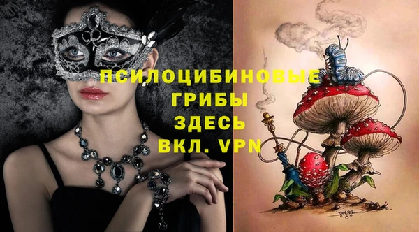 PSILOCYBIN Армянск