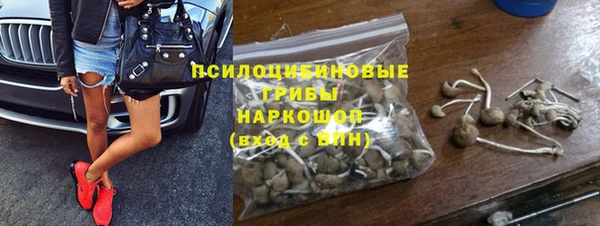 PSILOCYBIN Армянск