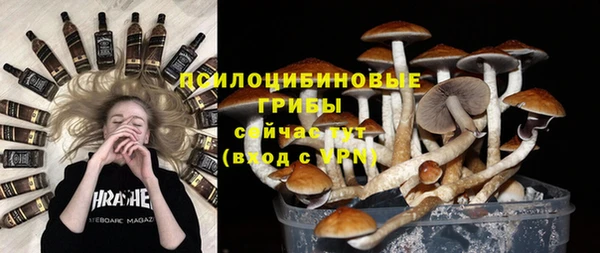 мет Аркадак