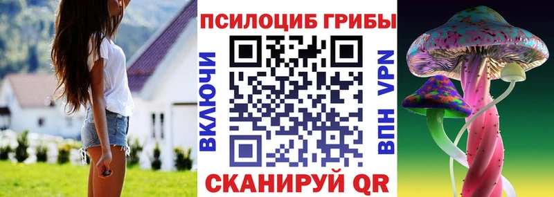 Галлюциногенные грибы GOLDEN TEACHER  закладки  Оханск 